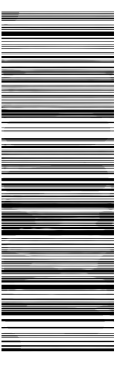 Vertical QR Code